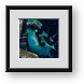 Buy Framed Print