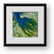 Buy Framed Print