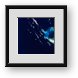 Buy Framed Print