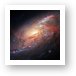 Hubble view of M 106 Art Print