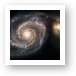 The Whirlpool Galaxy (M51) and Companion Art Print