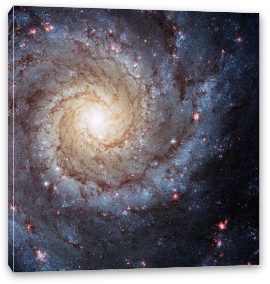 Spiral Galaxy M74 Fine Art Canvas Print