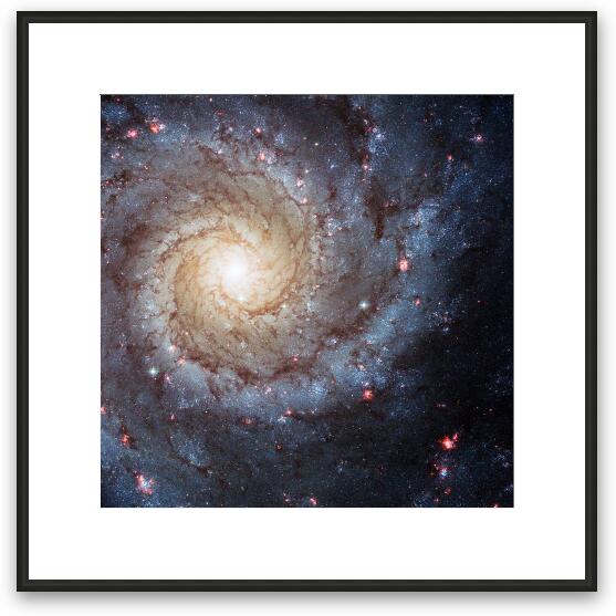 Spiral Galaxy M74 Framed Fine Art Print