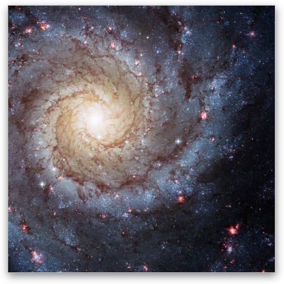 Spiral Galaxy M74 Fine Art Metal Print
