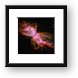 NGC6302 - The Butterfly Nebula Framed Print