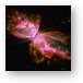 NGC6302 - The Butterfly Nebula Metal Print