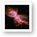 NGC6302 - The Butterfly Nebula Art Print