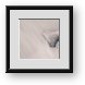 Buy Framed Print