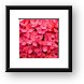 Little pink flowers Framed Print