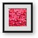 Buy Framed Print