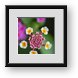 Buy Framed Print