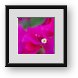 Buy Framed Print