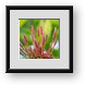 Buy Framed Print