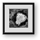 Buy Framed Print