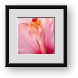 Buy Framed Print