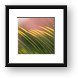 Palm Macro Framed Print
