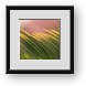 Buy Framed Print