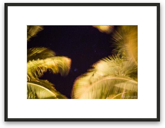 Stars and Palm Trees Framed Fine Art Print