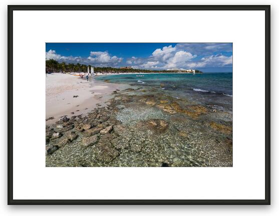 Coral on the Shore Framed Fine Art Print
