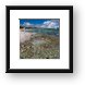 Coral on the Shore Framed Print