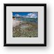 Buy Framed Print