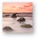 Buy Metal Print