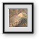 Buy Framed Print