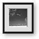 Buy Framed Print