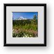 Buy Framed Print