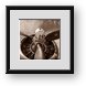 Buy Framed Print