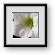 Buy Framed Print