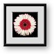 Buy Framed Print