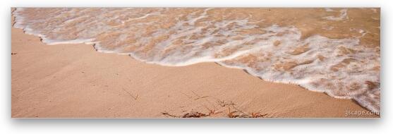 Beach Waves Panoramic Fine Art Print