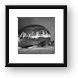 Ghosts in The Bean Framed Print