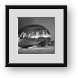 Buy Framed Print