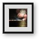 Buy Framed Print