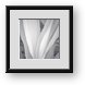 Buy Framed Print
