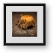 Buy Framed Print