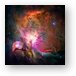 Hubble's sharpest view of the Orion Nebula Metal Print