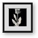 Buy Framed Print