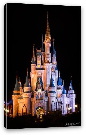 Cinderella's Castle and Partners statue at night Fine Art Canvas Print