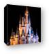 Cinderella's Castle and Partners statue at night Canvas Print