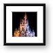 Cinderella's Castle and Partners statue at night Framed Print