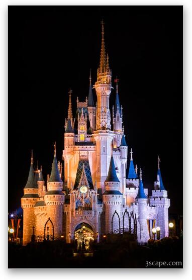 Cinderella's Castle and Partners statue at night Fine Art Metal Print