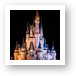 Cinderella's Castle and Partners statue at night Art Print