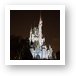 Cinderella Castle Light Show Art Print