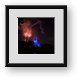 Buy Framed Print