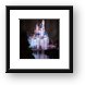 Cinderella's Castle Reflection Framed Print