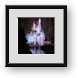 Buy Framed Print