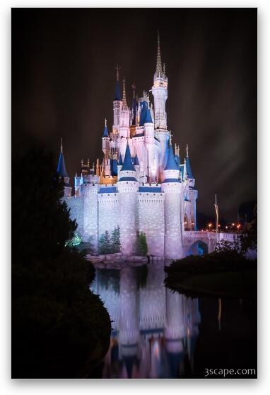Cinderella's Castle Reflection Fine Art Metal Print